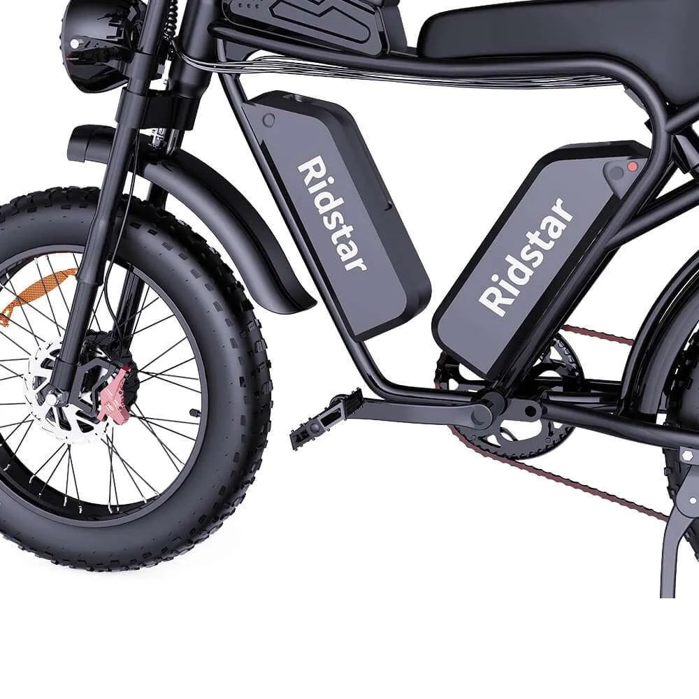 RIDSTAR Q20 Pro 20" Fat Tires Electric Bike 2*750W Motor 52V 40Ah Dual Battery