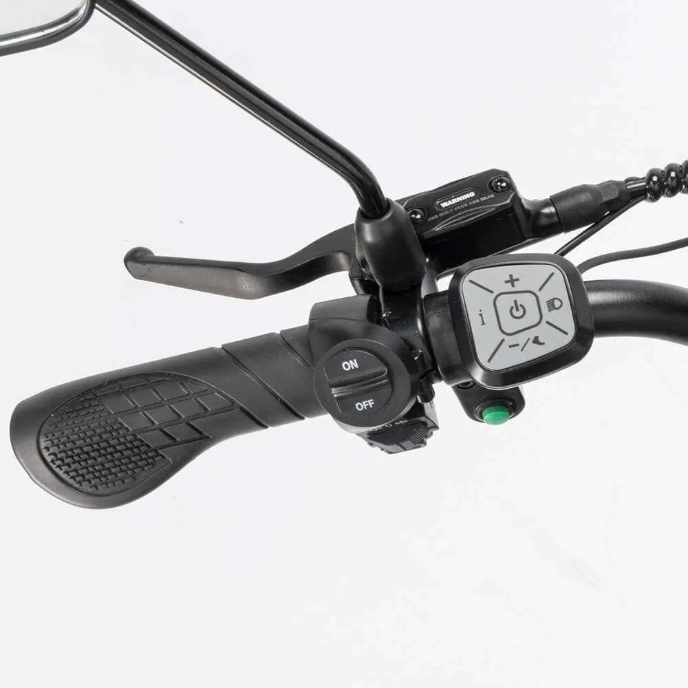 RIDSTAR Q20 Pro 20" Fat Tires Electric Bike 2*750W Motor 52V 40Ah Dual Battery