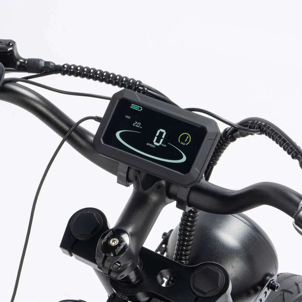 RIDSTAR Q20 Pro 20" Fat Tires Electric Bike 2*750W Motor 52V 40Ah Dual Battery