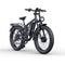 RIDSTAR E26 Pro 26" Fat Tires Mountain Electric Bike 2000W Dual Motor 48V 23Ah Battery