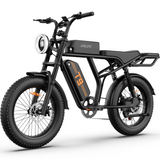 URLIFE T9 20" Off-Road Electric Bike 250W Motor 48V 15.6Ah Battery