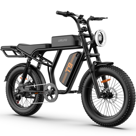 URLIFE T9 20" Off-Road Electric Bike 250W Motor 48V 15.6Ah Battery