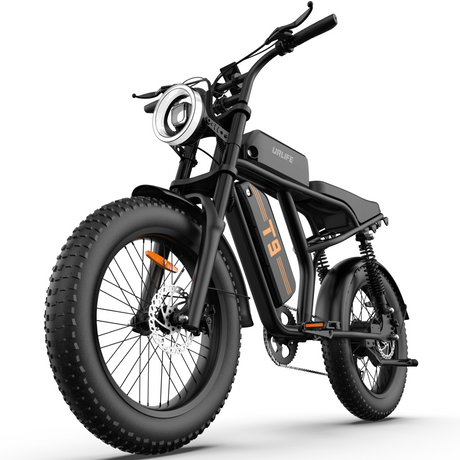 URLIFE T9 20" Off-Road Electric Bike 250W Motor 48V 15.6Ah Battery