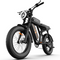URLIFE T9 20" Off-Road Electric Bike 250W Motor 48V 15.6Ah Battery