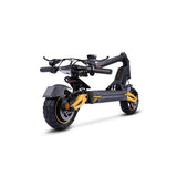 TWOFISH V2 MAX 10" Off-Road E-Scooter 800W Motor 48V 17Ah Battery