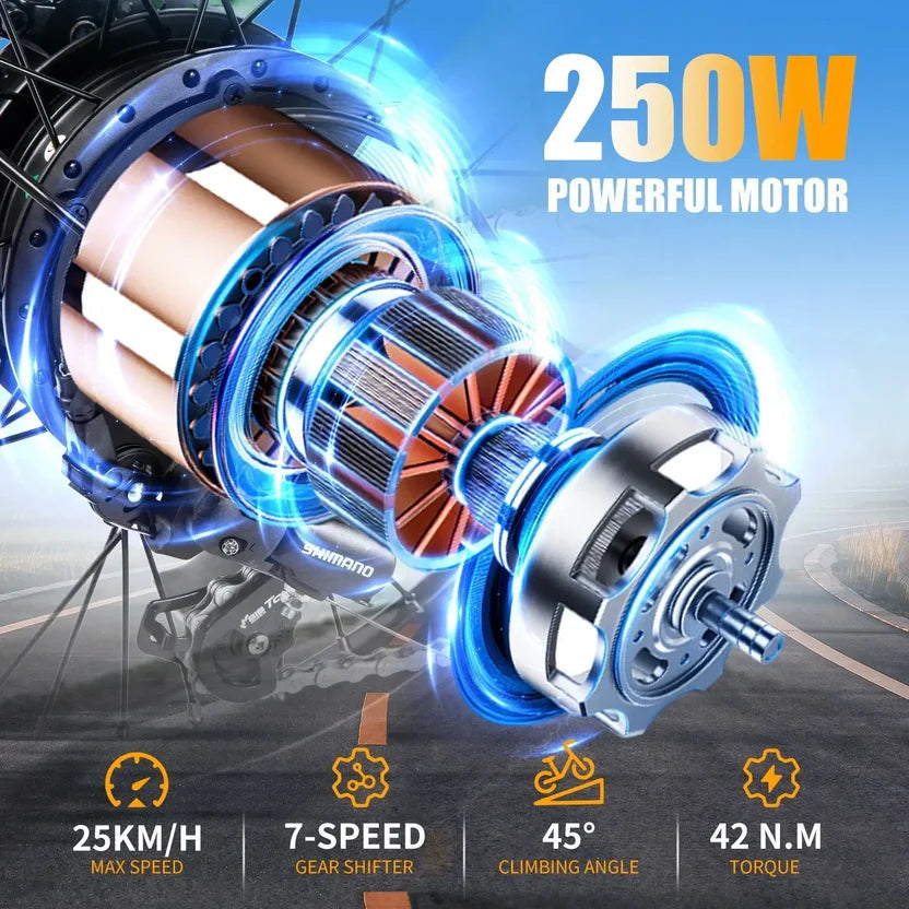 TWOFISH TF2 20" Folding Electric Bike 250W Motor 36V 17.8Ah Battery