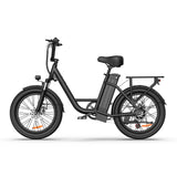 URLIFE E20 20" Step Through Electric Bike 250W Motor 48V 13Ah Battery