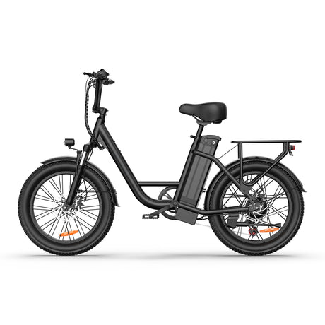 URLIFE E20 20" Step Through Electric Bike 250W Motor 48V 13Ah Battery
