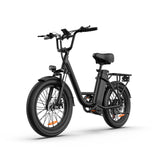 URLIFE E20 20" Step Through Electric Bike 250W Motor 48V 13Ah Battery