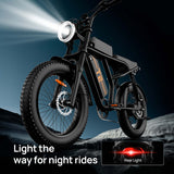 URLIFE T2 20" Electric Dirt Bike 250W Motor 48V 15.6Ah Battery