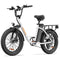 URLIFE E20 20" Step Through Electric Bike 250W Motor 48V 13Ah Battery