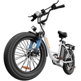 URLIFE E20 20" Step Through Electric Bike 250W Motor 48V 13Ah Battery