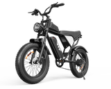 YVY C20Lite(Q20 Lite)20" Fat Tires Electric Bike 500W Motor 48V 15Ah Battery