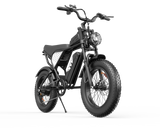 YVY C20Lite(Q20 Lite)20" Fat Tires Electric Bike 500W Motor 48V 15Ah Battery