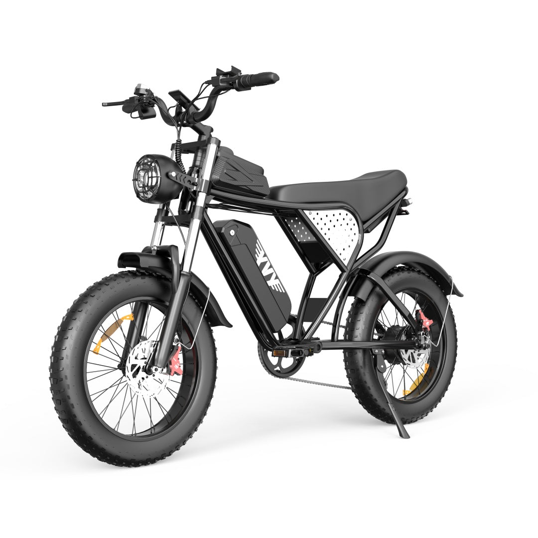 YVY C20(Q20) 20" Fat Tires Electric Bike 750W Motor 48V 20Ah Battery