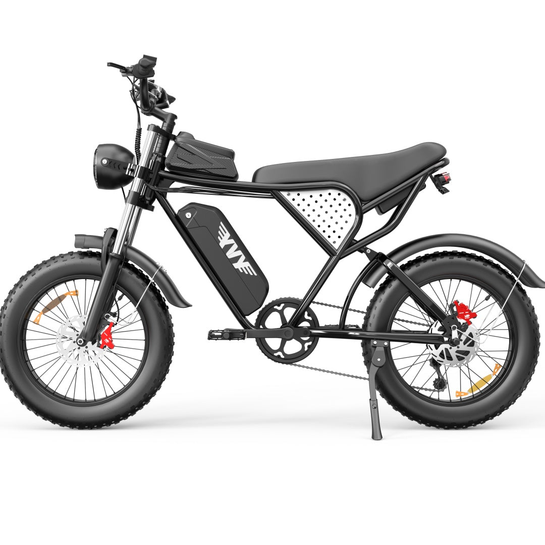 YVY C20(Q20) 20" Fat Tires Electric Bike 750W Motor 48V 20Ah Battery
