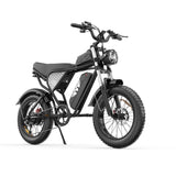 YVY C20(Q20) 20" Fat Tires Electric Bike 750W Motor 48V 20Ah Battery