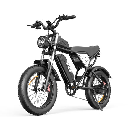 YVY C20(Q20) 20" Fat Tires Electric Bike 750W Motor 48V 20Ah Battery