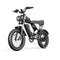 YVY C20(Q20) 20" Fat Tires Electric Bike 750W Motor 48V 20Ah Battery