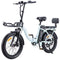 TWOFISH TF2 20" Folding Electric Bike 250W Motor 36V 17.8Ah Battery