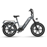 Himiway Big Dog 20" Electric Cargo Bike 750W Motor 48V 20Ah Battery