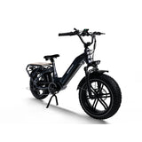 Himiway Big Dog 20" Electric Cargo Bike 750W Motor 48V 20Ah Battery