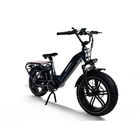 Himiway Big Dog 20" Electric Cargo Bike 750W Motor 48V 20Ah Battery