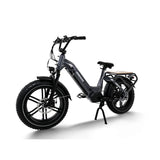 Himiway Big Dog 20" Electric Cargo Bike 750W Motor 48V 20Ah Battery