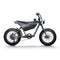 Himiway C5 20" Electric Motorbike 750W Motor 48V 20Ah Battery