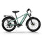 Himiway D5 (Zebra) 26" Fat Tire All-terrain Electric Bike 750W Motor 48V 20Ah Battery