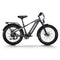 Himiway D5 (Zebra) 26" Fat Tire All-terrain Electric Bike 750W Motor 48V 20Ah Battery