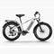 Himiway D5 (Zebra) 26" Fat Tire All-terrain Electric Bike 750W Motor 48V 20Ah Battery