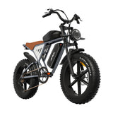 JANSNO X70 20" Fat Tires Electric Bikes 750W*2 Dual Motor 48V 14Ah+20Ah Dual Battery