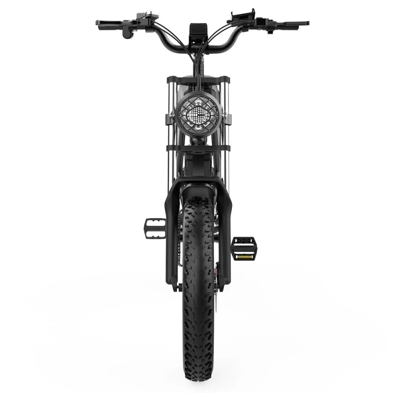 Ridstar-Q20-Fat-Tires-Electric-Bike-1000W-Motor-48V-20Ah-Battery-black