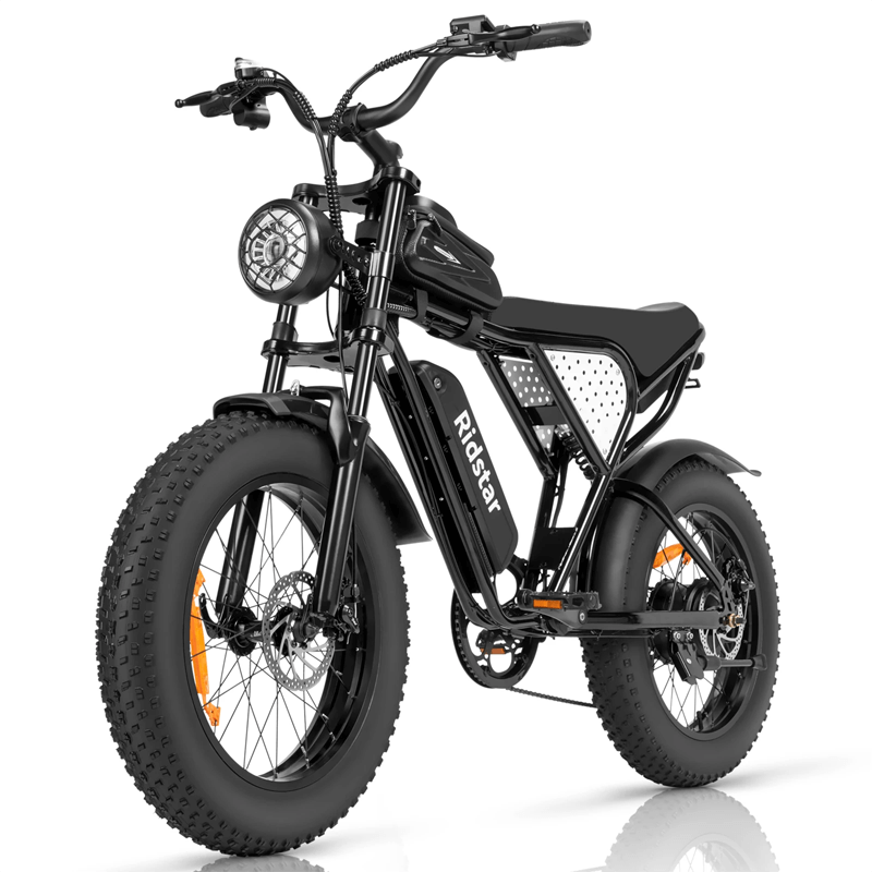 Electric bike with wide tires sale